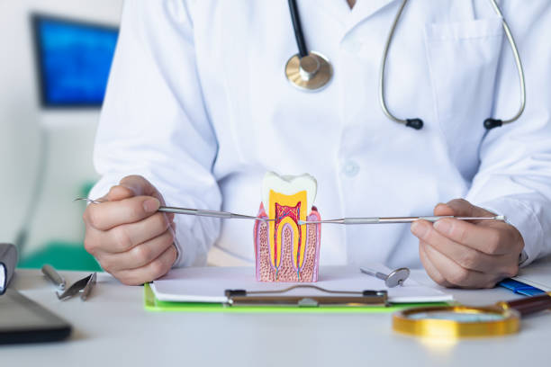Best Emergency Treatment for Dental Infections or Abscesses in Custer, SD